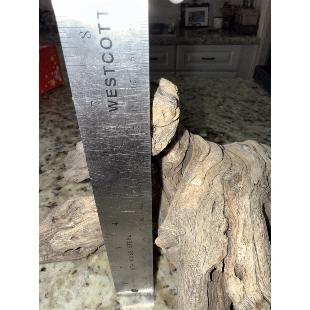 Driftwood‎ taxidermy log super super cool pieceThis very old. Flower arrangement